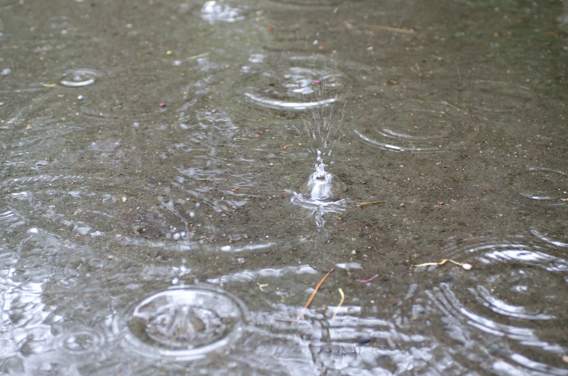 「雨水利用推進法」って何？雨水って家庭で利用できるの？