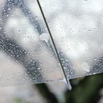 「雨水利用推進法」って何？雨水って家庭で利用できるの？